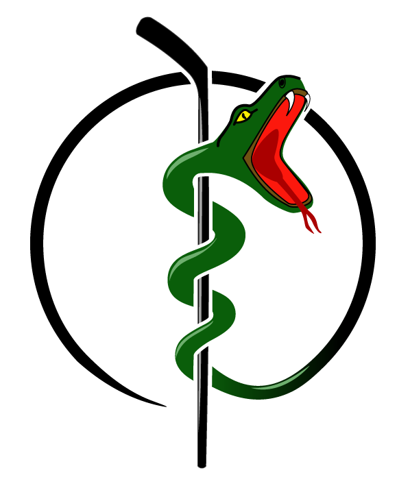 Paramedic hockey team logo